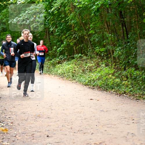 11.10.2026 - Bramfelder Halbmarathon 2026 Dr. Thomas Lammeyer http://msf.ph/oto/10817604 11.10.2026 09:58:00 Laufen 216, 151, 357, 09, 409 meine-sportfotos.de