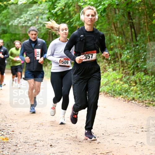 11.10.2026 - Bramfelder Halbmarathon 2026 Dr. Thomas Lammeyer http://msf.ph/oto/10817621 11.10.2026 09:58:02 Laufen 151, 509, 357 meine-sportfotos.de