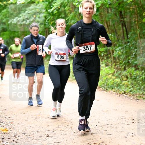 11.10.2026 - Bramfelder Halbmarathon 2026 Dr. Thomas Lammeyer http://msf.ph/oto/10817622 11.10.2026 09:58:02 Laufen 151, 509, 357 meine-sportfotos.de