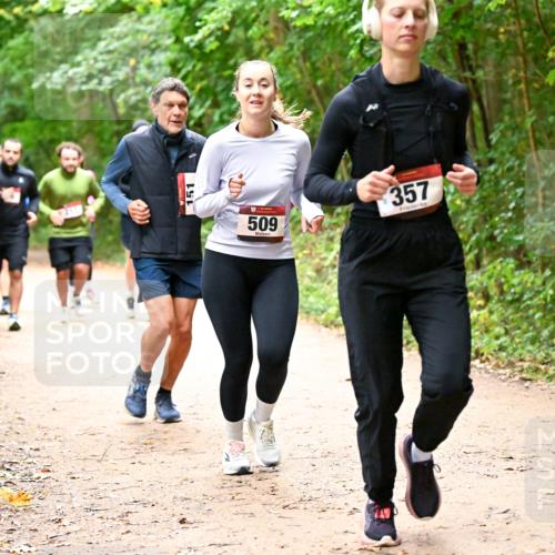 11.10.2026 - Bramfelder Halbmarathon 2026 Dr. Thomas Lammeyer http://msf.ph/oto/10817624 11.10.2026 09:58:03 Laufen 151, 509, 357 meine-sportfotos.de