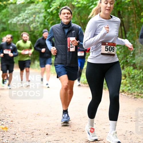11.10.2026 - Bramfelder Halbmarathon 2026 Dr. Thomas Lammeyer http://msf.ph/oto/10817629 11.10.2026 09:58:04 Laufen 15, 509 meine-sportfotos.de