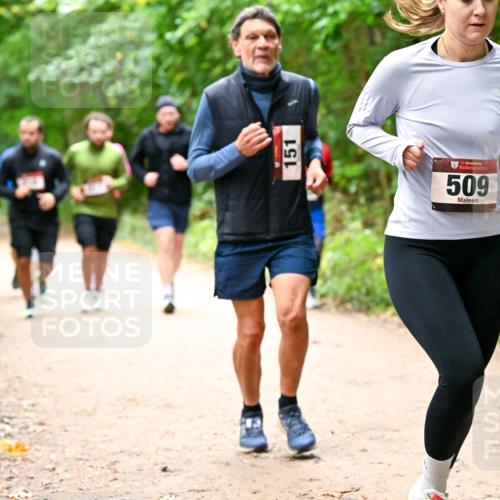11.10.2026 - Bramfelder Halbmarathon 2026 Dr. Thomas Lammeyer http://msf.ph/oto/10817631 11.10.2026 09:58:04 Laufen 151, 35, 509 meine-sportfotos.de