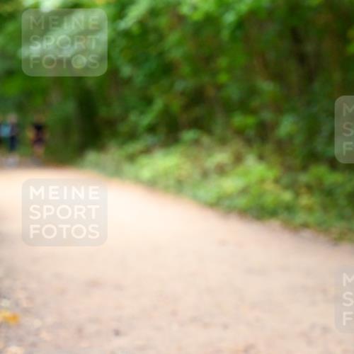 11.10.2026 - Bramfelder Halbmarathon 2026 Dr. Thomas Lammeyer http://msf.ph/oto/10817671 11.10.2026 09:58:10 Laufen  meine-sportfotos.de