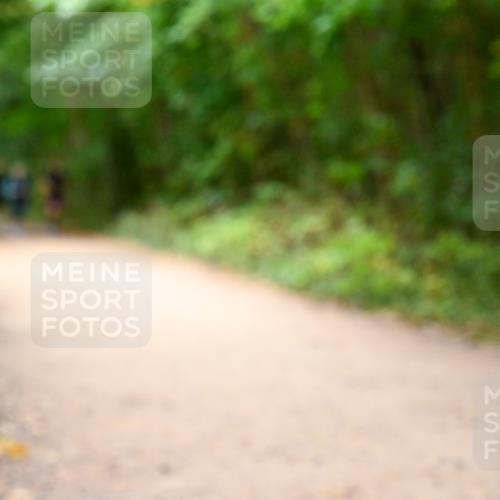 11.10.2026 - Bramfelder Halbmarathon 2026 Dr. Thomas Lammeyer http://msf.ph/oto/10817672 11.10.2026 09:58:10 Laufen  meine-sportfotos.de