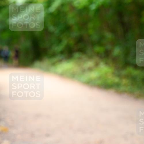 11.10.2026 - Bramfelder Halbmarathon 2026 Dr. Thomas Lammeyer http://msf.ph/oto/10817673 11.10.2026 09:58:10 Laufen  meine-sportfotos.de