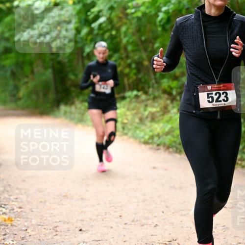 11.10.2026 - Bramfelder Halbmarathon 2026 Dr. Thomas Lammeyer http://msf.ph/oto/10817745 11.10.2026 09:58:40 Laufen 35, 523 meine-sportfotos.de
