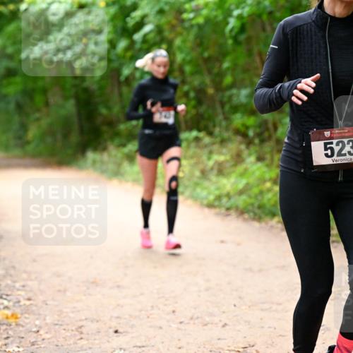 11.10.2026 - Bramfelder Halbmarathon 2026 Dr. Thomas Lammeyer http://msf.ph/oto/10817746 11.10.2026 09:58:40 Laufen 35, 523 meine-sportfotos.de