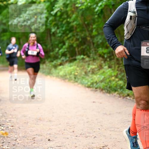 11.10.2026 - Bramfelder Halbmarathon 2026 Dr. Thomas Lammeyer http://msf.ph/oto/10817790 11.10.2026 09:58:55 Laufen 812 meine-sportfotos.de