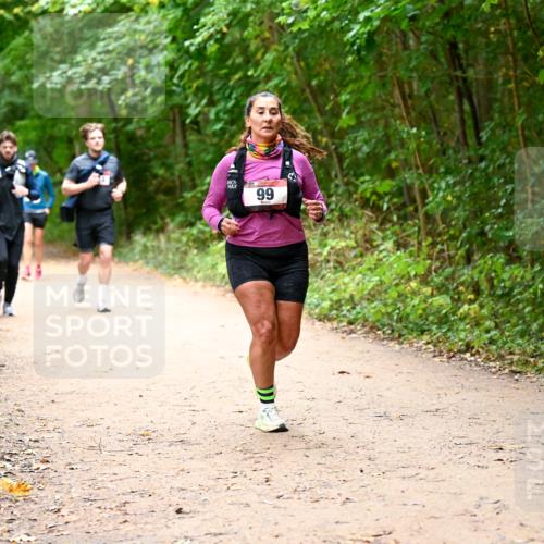 11.10.2026 - Bramfelder Halbmarathon 2026 Dr. Thomas Lammeyer http://msf.ph/oto/10817799 11.10.2026 09:58:57 Laufen 99 meine-sportfotos.de