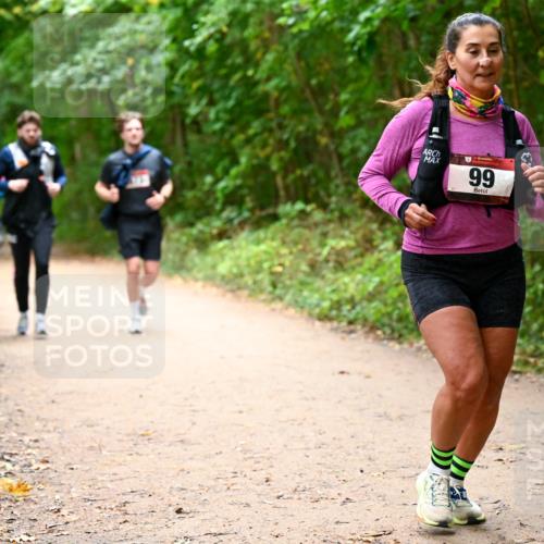 11.10.2026 - Bramfelder Halbmarathon 2026 Dr. Thomas Lammeyer http://msf.ph/oto/10817808 11.10.2026 09:58:58 Laufen 99 meine-sportfotos.de