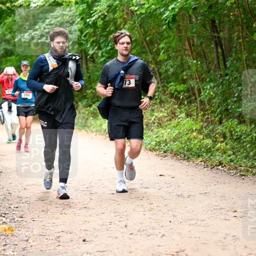 11.10.2026 - Bramfelder Halbmarathon 2026 Dr. Thomas Lammeyer http://msf.ph/oto/10817822 11.10.2026 09:59:00 Laufen 260, 73 meine-sportfotos.de
