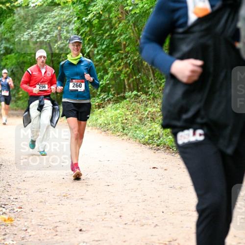 11.10.2026 - Bramfelder Halbmarathon 2026 Dr. Thomas Lammeyer http://msf.ph/oto/10817835 11.10.2026 09:59:03 Laufen 296, 260 meine-sportfotos.de