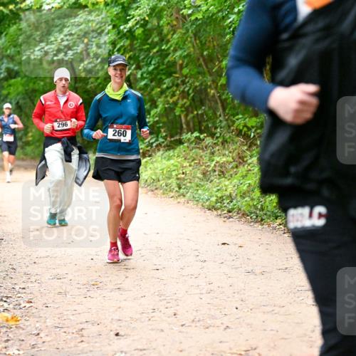 11.10.2026 - Bramfelder Halbmarathon 2026 Dr. Thomas Lammeyer http://msf.ph/oto/10817836 11.10.2026 09:59:03 Laufen 296, 260 meine-sportfotos.de