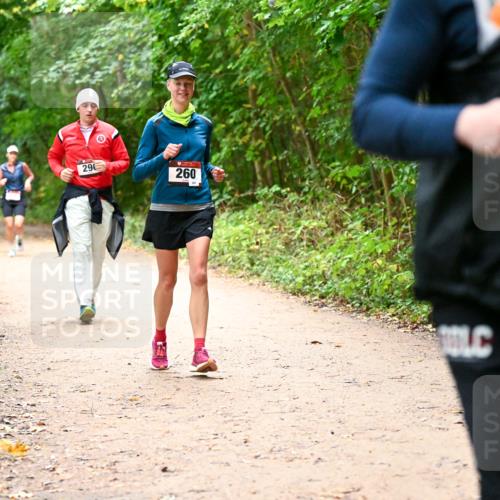 11.10.2026 - Bramfelder Halbmarathon 2026 Dr. Thomas Lammeyer http://msf.ph/oto/10817837 11.10.2026 09:59:03 Laufen 296, 260 meine-sportfotos.de