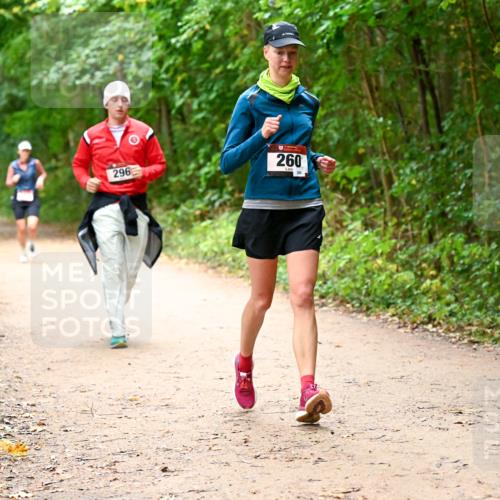 11.10.2026 - Bramfelder Halbmarathon 2026 Dr. Thomas Lammeyer http://msf.ph/oto/10817843 11.10.2026 09:59:04 Laufen 296, 260, 290 meine-sportfotos.de