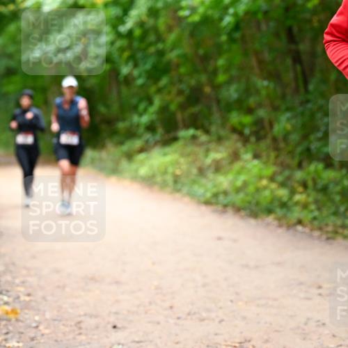 11.10.2026 - Bramfelder Halbmarathon 2026 Dr. Thomas Lammeyer http://msf.ph/oto/10817866 11.10.2026 09:59:07 Laufen  meine-sportfotos.de