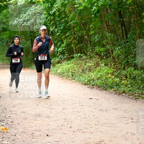 11.10.2026 - Bramfelder Halbmarathon 2026 Dr. Thomas Lammeyer http://msf.ph/oto/10817872 11.10.2026 09:59:09 Laufen 212, 190 meine-sportfotos.de