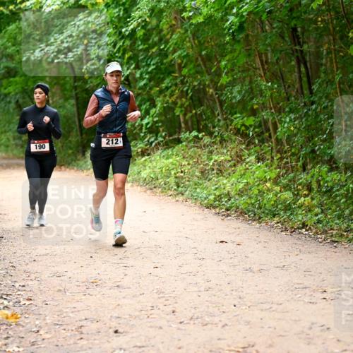 11.10.2026 - Bramfelder Halbmarathon 2026 Dr. Thomas Lammeyer http://msf.ph/oto/10817873 11.10.2026 09:59:09 Laufen 190, 212 meine-sportfotos.de