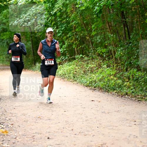 11.10.2026 - Bramfelder Halbmarathon 2026 Dr. Thomas Lammeyer http://msf.ph/oto/10817874 11.10.2026 09:59:09 Laufen 190, 212 meine-sportfotos.de