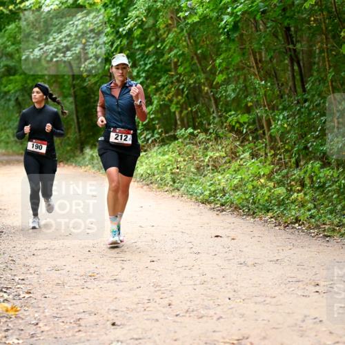 11.10.2026 - Bramfelder Halbmarathon 2026 Dr. Thomas Lammeyer http://msf.ph/oto/10817875 11.10.2026 09:59:09 Laufen 190, 212 meine-sportfotos.de