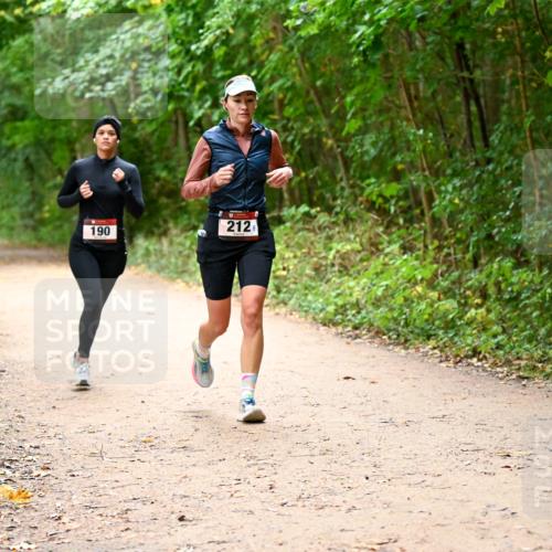 11.10.2026 - Bramfelder Halbmarathon 2026 Dr. Thomas Lammeyer http://msf.ph/oto/10817879 11.10.2026 09:59:10 Laufen 190, 212 meine-sportfotos.de