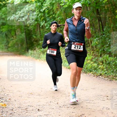 11.10.2026 - Bramfelder Halbmarathon 2026 Dr. Thomas Lammeyer http://msf.ph/oto/10817885 11.10.2026 09:59:11 Laufen 190, 212 meine-sportfotos.de