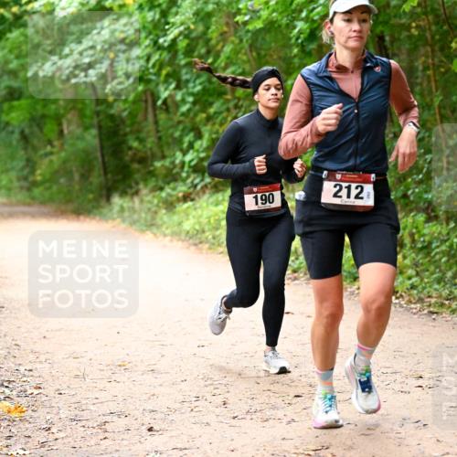 11.10.2026 - Bramfelder Halbmarathon 2026 Dr. Thomas Lammeyer http://msf.ph/oto/10817886 11.10.2026 09:59:11 Laufen 190, 212 meine-sportfotos.de
