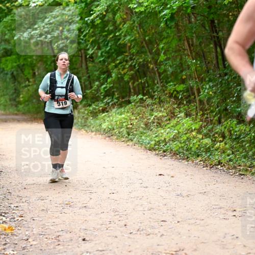 11.10.2026 - Bramfelder Halbmarathon 2026 Dr. Thomas Lammeyer http://msf.ph/oto/10817980 11.10.2026 09:59:40 Laufen 319 meine-sportfotos.de