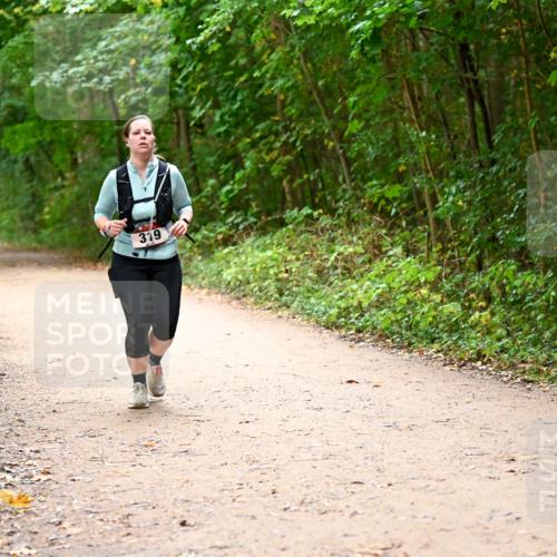 11.10.2026 - Bramfelder Halbmarathon 2026 Dr. Thomas Lammeyer http://msf.ph/oto/10817982 11.10.2026 09:59:41 Laufen 319 meine-sportfotos.de