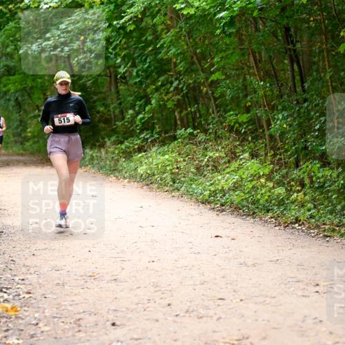 11.10.2026 - Bramfelder Halbmarathon 2026 Dr. Thomas Lammeyer http://msf.ph/oto/10818002 11.10.2026 09:59:59 Laufen 515 meine-sportfotos.de