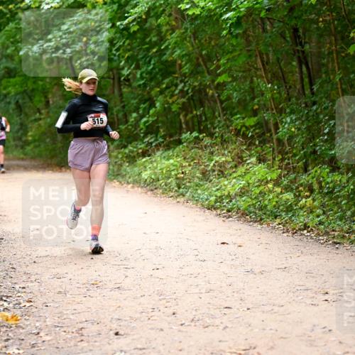 11.10.2026 - Bramfelder Halbmarathon 2026 Dr. Thomas Lammeyer http://msf.ph/oto/10818006 11.10.2026 09:59:59 Laufen 515 meine-sportfotos.de