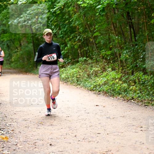 11.10.2026 - Bramfelder Halbmarathon 2026 Dr. Thomas Lammeyer http://msf.ph/oto/10818010 11.10.2026 10:00:00 Laufen 515 meine-sportfotos.de