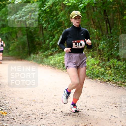 11.10.2026 - Bramfelder Halbmarathon 2026 Dr. Thomas Lammeyer http://msf.ph/oto/10818019 11.10.2026 10:00:01 Laufen 279, 515 meine-sportfotos.de