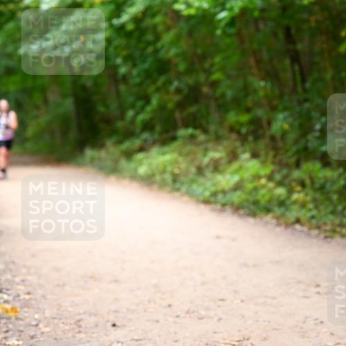 11.10.2026 - Bramfelder Halbmarathon 2026 Dr. Thomas Lammeyer http://msf.ph/oto/10818028 11.10.2026 10:00:02 Laufen  meine-sportfotos.de