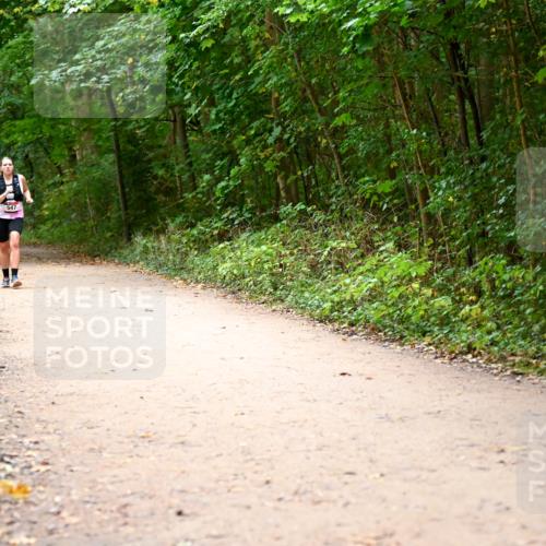 11.10.2026 - Bramfelder Halbmarathon 2026 Dr. Thomas Lammeyer http://msf.ph/oto/10818031 11.10.2026 10:00:03 Laufen 547 meine-sportfotos.de