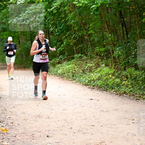 11.10.2026 - Bramfelder Halbmarathon 2026 Dr. Thomas Lammeyer http://msf.ph/oto/10818034 11.10.2026 10:00:08 Laufen 503, 547 meine-sportfotos.de