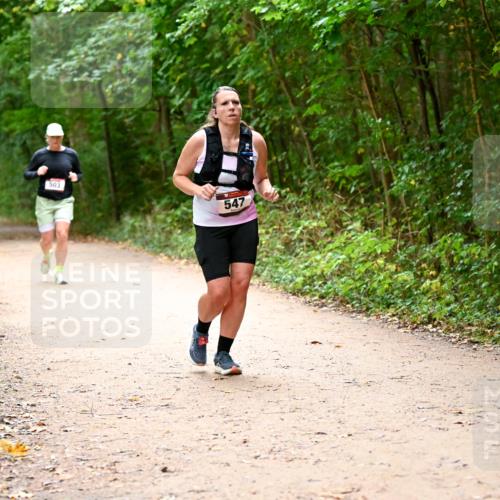 11.10.2026 - Bramfelder Halbmarathon 2026 Dr. Thomas Lammeyer http://msf.ph/oto/10818041 11.10.2026 10:00:09 Laufen 503, 547 meine-sportfotos.de