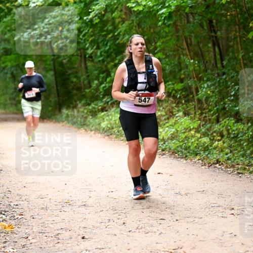 11.10.2026 - Bramfelder Halbmarathon 2026 Dr. Thomas Lammeyer http://msf.ph/oto/10818044 11.10.2026 10:00:09 Laufen 301, 547 meine-sportfotos.de