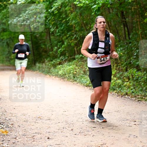 11.10.2026 - Bramfelder Halbmarathon 2026 Dr. Thomas Lammeyer http://msf.ph/oto/10818047 11.10.2026 10:00:09 Laufen 547 meine-sportfotos.de