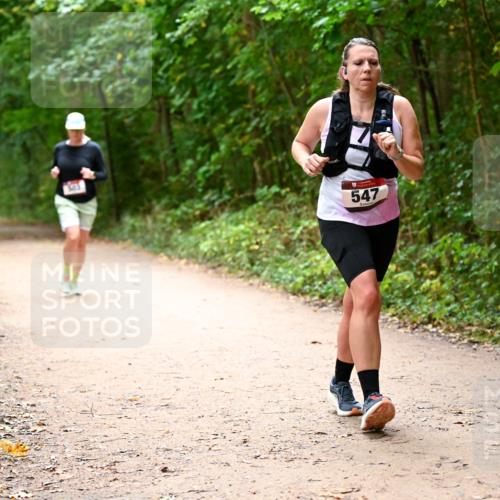 11.10.2026 - Bramfelder Halbmarathon 2026 Dr. Thomas Lammeyer http://msf.ph/oto/10818048 11.10.2026 10:00:09 Laufen 547 meine-sportfotos.de
