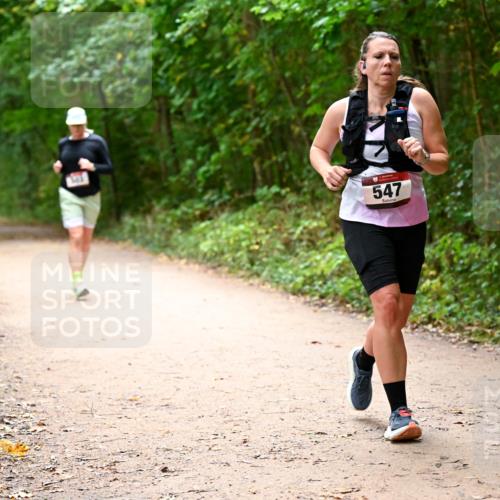 11.10.2026 - Bramfelder Halbmarathon 2026 Dr. Thomas Lammeyer http://msf.ph/oto/10818049 11.10.2026 10:00:10 Laufen 547 meine-sportfotos.de