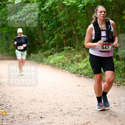 11.10.2026 - Bramfelder Halbmarathon 2026 Dr. Thomas Lammeyer http://msf.ph/oto/10818050 11.10.2026 10:00:10 Laufen 547 meine-sportfotos.de