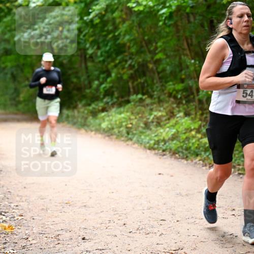11.10.2026 - Bramfelder Halbmarathon 2026 Dr. Thomas Lammeyer http://msf.ph/oto/10818052 11.10.2026 10:00:10 Laufen 547 meine-sportfotos.de