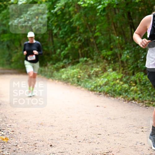 11.10.2026 - Bramfelder Halbmarathon 2026 Dr. Thomas Lammeyer http://msf.ph/oto/10818054 11.10.2026 10:00:10 Laufen 547 meine-sportfotos.de