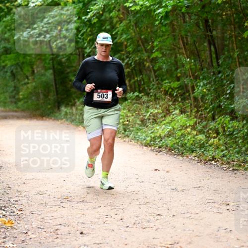 11.10.2026 - Bramfelder Halbmarathon 2026 Dr. Thomas Lammeyer http://msf.ph/oto/10818059 11.10.2026 10:00:12 Laufen 503 meine-sportfotos.de