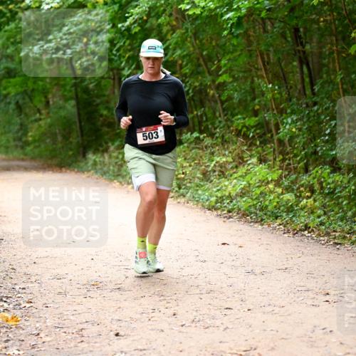 11.10.2026 - Bramfelder Halbmarathon 2026 Dr. Thomas Lammeyer http://msf.ph/oto/10818060 11.10.2026 10:00:13 Laufen 503 meine-sportfotos.de