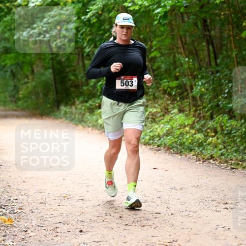 11.10.2026 - Bramfelder Halbmarathon 2026 Dr. Thomas Lammeyer http://msf.ph/oto/10818064 11.10.2026 10:00:13 Laufen 503 meine-sportfotos.de