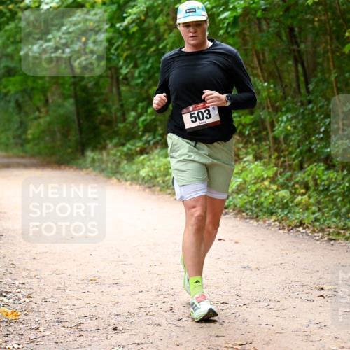 11.10.2026 - Bramfelder Halbmarathon 2026 Dr. Thomas Lammeyer http://msf.ph/oto/10818067 11.10.2026 10:00:14 Laufen 503 meine-sportfotos.de