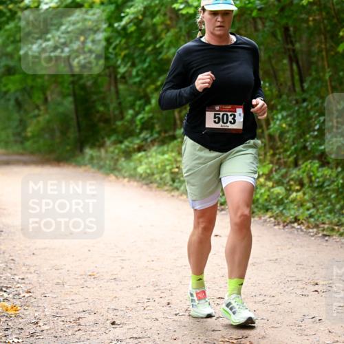 11.10.2026 - Bramfelder Halbmarathon 2026 Dr. Thomas Lammeyer http://msf.ph/oto/10818069 11.10.2026 10:00:14 Laufen 503 meine-sportfotos.de