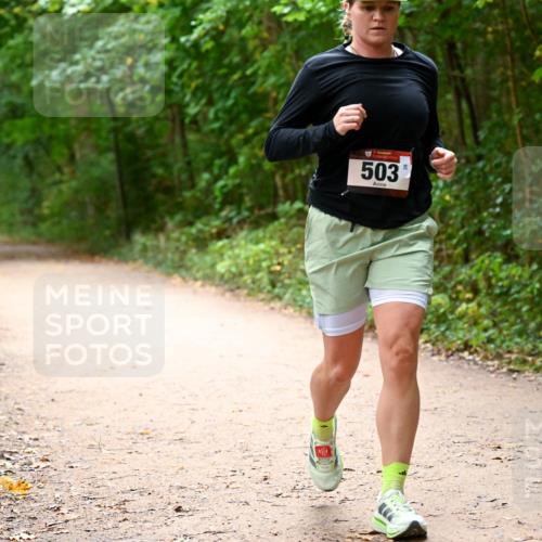 11.10.2026 - Bramfelder Halbmarathon 2026 Dr. Thomas Lammeyer http://msf.ph/oto/10818070 11.10.2026 10:00:14 Laufen 503, 38 meine-sportfotos.de